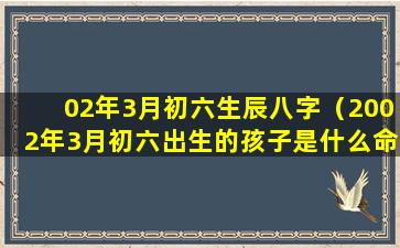 02年3月初六生辰八字（2002年3月初六出生的孩子是什么命）