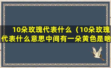 10朵玫瑰代表什么（10朵玫瑰代表什么意思中间有一朵黄色是啥意思）