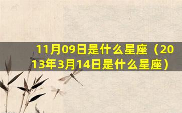 11月09日是什么星座（2013年3月14日是什么星座）