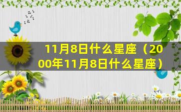 11月8日什么星座（2000年11月8日什么星座）