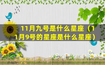 11月九号是什么星座（11月9号的星座是什么星座）