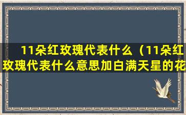 11朵红玫瑰代表什么（11朵红玫瑰代表什么意思加白满天星的花语）