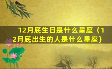 12月底生日是什么星座（12月底出生的人是什么星座）