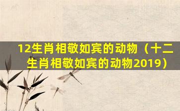 12生肖相敬如宾的动物（十二生肖相敬如宾的动物2019）