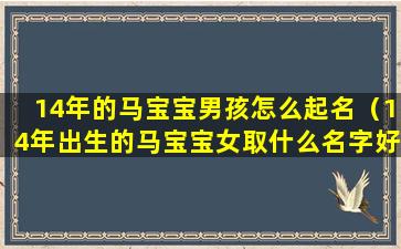 14年的马宝宝男孩怎么起名（14年出生的马宝宝女取什么名字好）