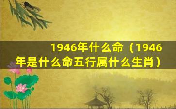 1946年什么命（1946年是什么命五行属什么生肖）