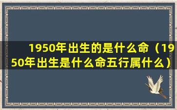 1950年出生的是什么命（1950年出生是什么命五行属什么）