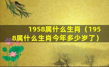 1958属什么生肖（1958属什么生肖今年多少岁了）