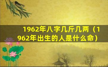 1962年八字几斤几两（1962年出生的人是什么命）