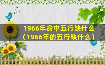 1966年命中五行缺什么（1966年的五行缺什么）