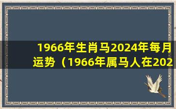 1966年生肖马2024年每月运势（1966年属马人在2022年每月运势）