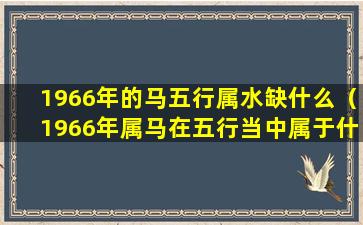 1966年的马五行属水缺什么（1966年属马在五行当中属于什么）