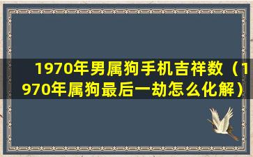 1970年男属狗手机吉祥数（1970年属狗最后一劫怎么化解）