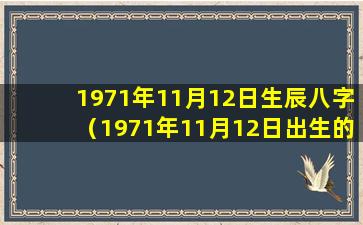 1971年11月12日生辰八字（1971年11月12日出生的人性格）