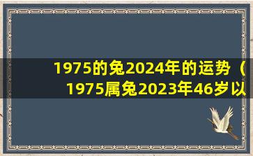 1975的兔2024年的运势（1975属兔2023年46岁以后运气）