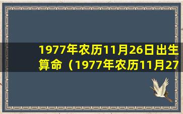 1977年农历11月26日出生算命（1977年农历11月27日出生的女孩一生命运）