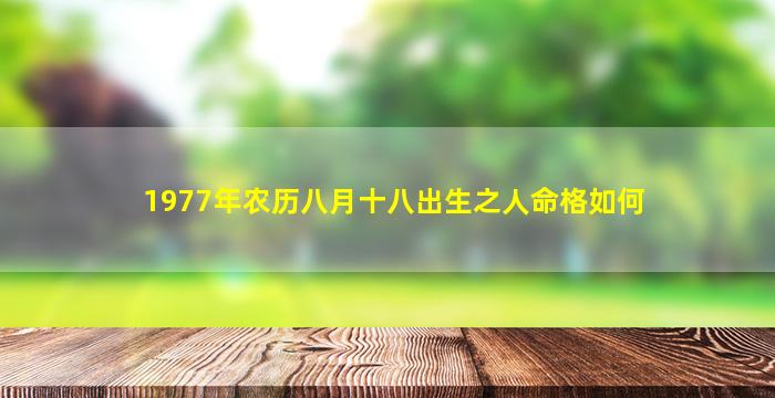 1977年农历八月十八出生之人命格如何