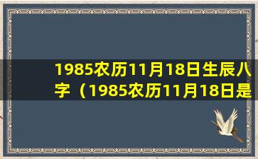 1985农历11月18日生辰八字（1985农历11月18日是什么星座）