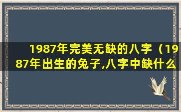 1987年完美无缺的八字（1987年出生的兔子,八字中缺什么）