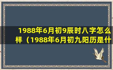 1988年6月初9辰时八字怎么样（1988年6月初九阳历是什么时候）