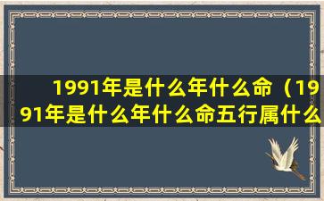 1991年是什么年什么命（1991年是什么年什么命五行属什么）