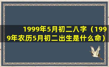 1999年5月初二八字（1999年农历5月初二出生是什么命）