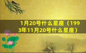 1月20号什么星座（1993年11月20号什么星座）