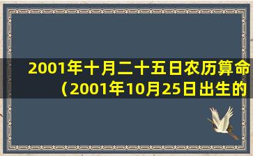 2001年十月二十五日农历算命（2001年10月25日出生的人命运怎么样）