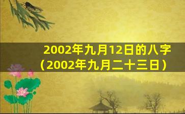 2002年九月12日的八字（2002年九月二十三日）