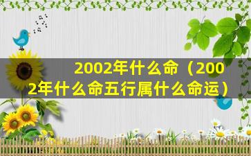 2002年什么命（2002年什么命五行属什么命运）