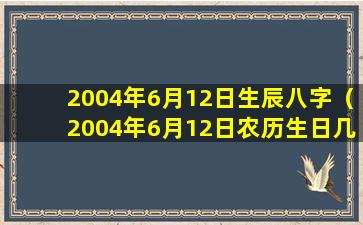 2004年6月12日生辰八字（2004年6月12日农历生日几号）