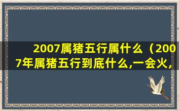 2007属猪五行属什么（2007年属猪五行到底什么,一会火,一会土,一会水）