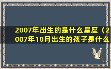 2007年出生的是什么星座（2007年10月出生的孩子是什么命）