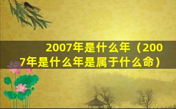 2007年是什么年（2007年是什么年是属于什么命）