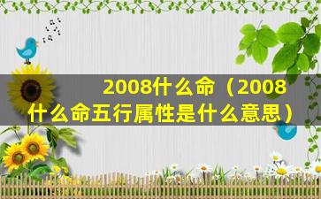 2008什么命（2008什么命五行属性是什么意思）