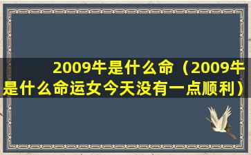 2009牛是什么命（2009牛是什么命运女今天没有一点顺利）