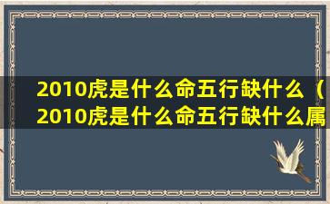 2010虎是什么命五行缺什么（2010虎是什么命五行缺什么属性）