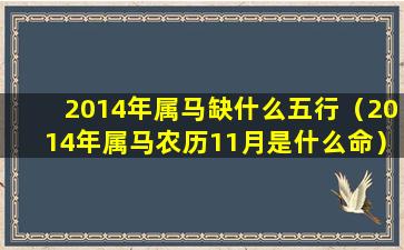 2014年属马缺什么五行（2014年属马农历11月是什么命）