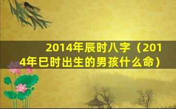 2014年辰时八字（2014年巳时出生的男孩什么命）