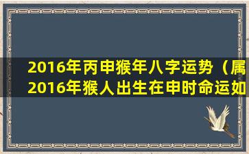 2016年丙申猴年八字运势（属2016年猴人出生在申时命运如何）