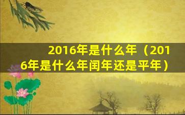 2016年是什么年（2016年是什么年闰年还是平年）