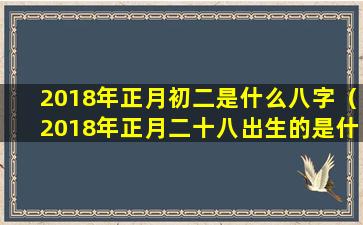 2018年正月初二是什么八字（2018年正月二十八出生的是什么命）