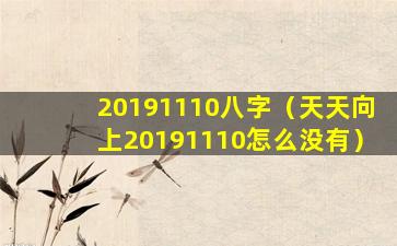 20191110八字（天天向上20191110怎么没有）