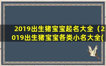 2019出生猪宝宝起名大全（2019出生猪宝宝各类小名大全(男孩)）