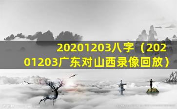 20201203八字（20201203广东对山西录像回放）