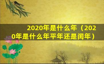 2020年是什么年（2020年是什么年平年还是闰年）