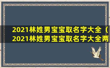 2021林姓男宝宝取名字大全（2021林姓男宝宝取名字大全两个字）