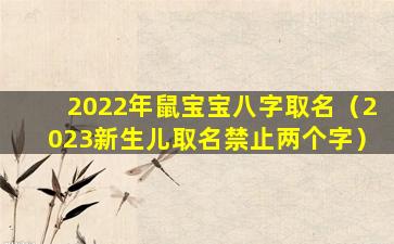 2022年鼠宝宝八字取名（2023新生儿取名禁止两个字）