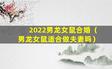 2022男龙女鼠合婚（男龙女鼠适合做夫妻吗）