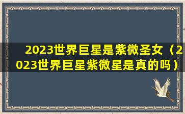 2023世界巨星是紫微圣女（2023世界巨星紫微星是真的吗）